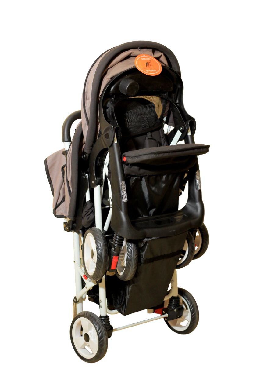 توام أعمار مختلفة Gracco