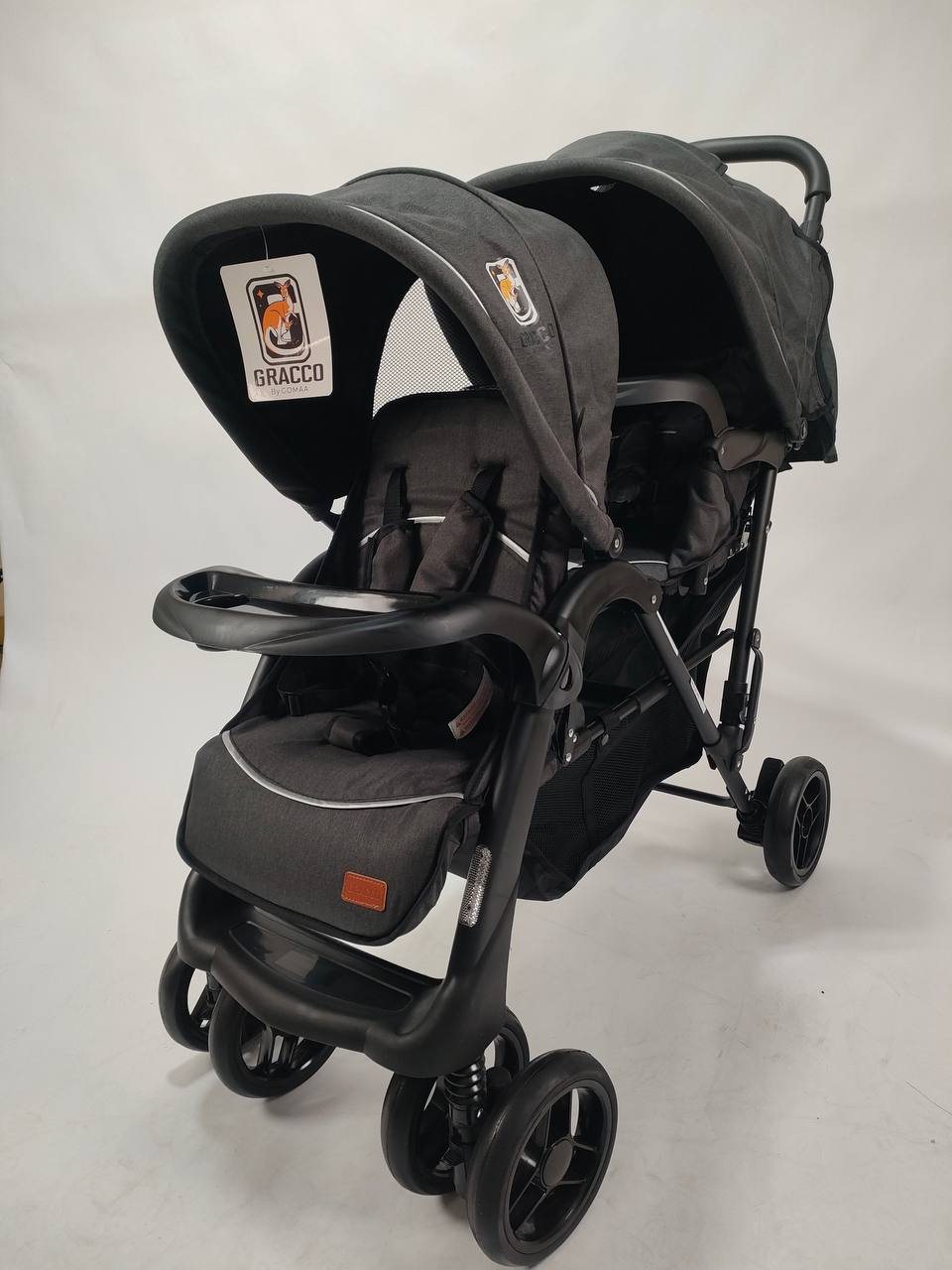 توام أعمار مختلفة Gracco